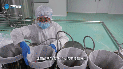 开局之年看中国丨零关税落地！来河南喝一杯非洲咖啡