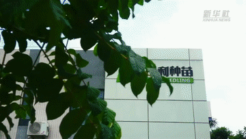 Vlog·我在大陆“种春天”丨台农“种苗匠”的田园纽带