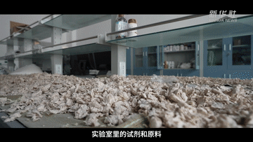科创园区蹲点日记｜“实验室”到“生产线”的跨越