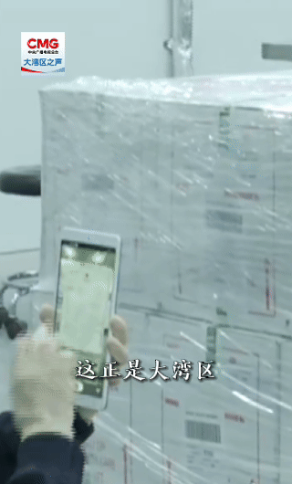 勇立潮头大湾区丨“鲜活”速度拉满!全球生鲜直达大湾区