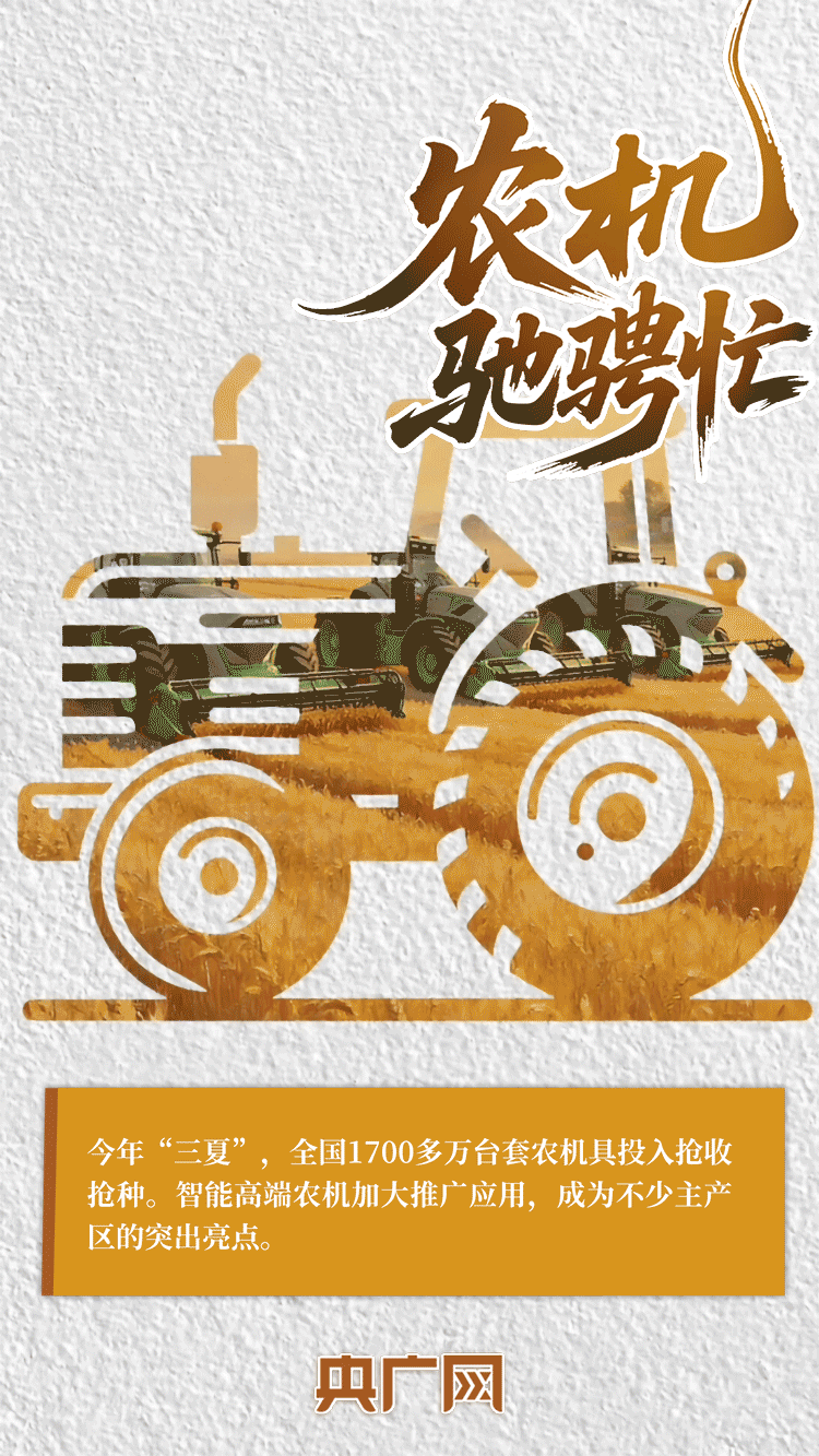AI中国|一抹金黄,尽绘夏收丰年!