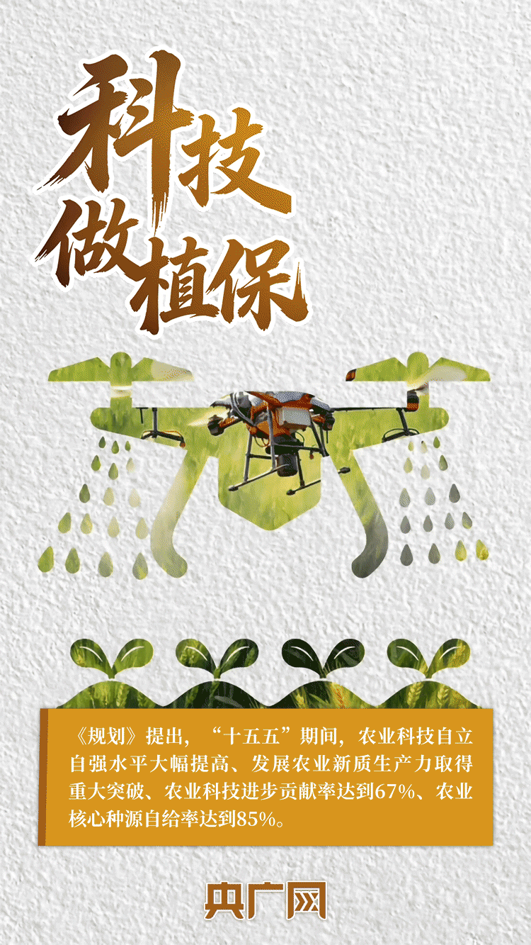 AI中国|一抹金黄,尽绘夏收丰年!