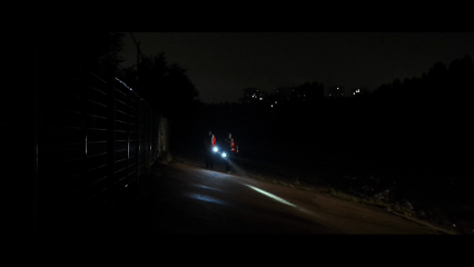 风雨护长堤 风雨护长堤