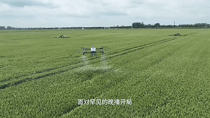 晚播麦夺丰收 河南死磕背后的三本账丨新闻述评 b2ac6cc90e4fc845613cb9cd55f1e2a0.gif