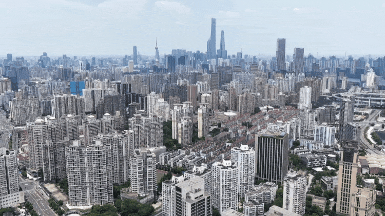 时政微纪录丨习近平总书记上海行