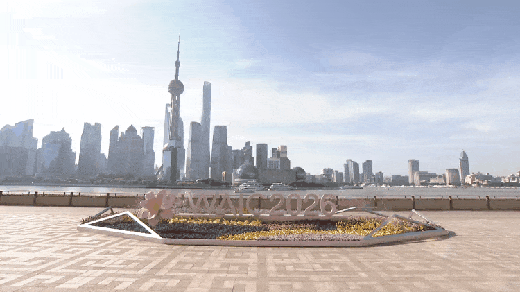 时政微纪录丨习近平总书记上海行