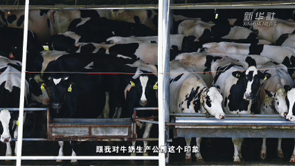 经济政策一线微观察｜流水线变风景线，暑期“工厂游”火了
