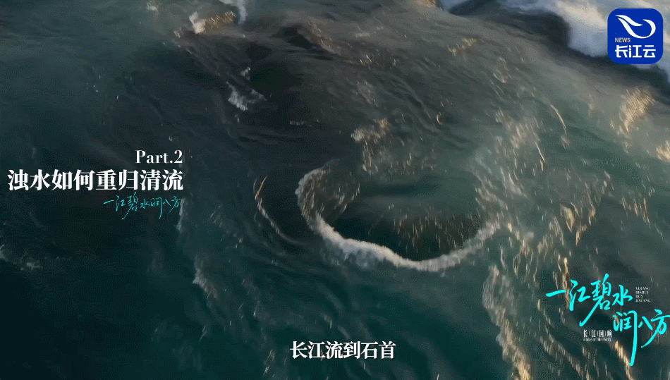 长江回响丨一江碧水润八方