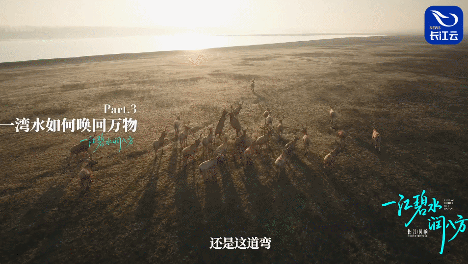 长江回响丨一江碧水润八方