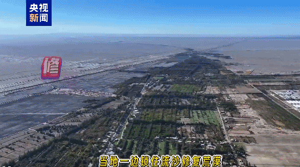 视频丨沙漠边缘为何成瓜蒌“天选之地”?解密塔克拉玛干 “黄灯笼”