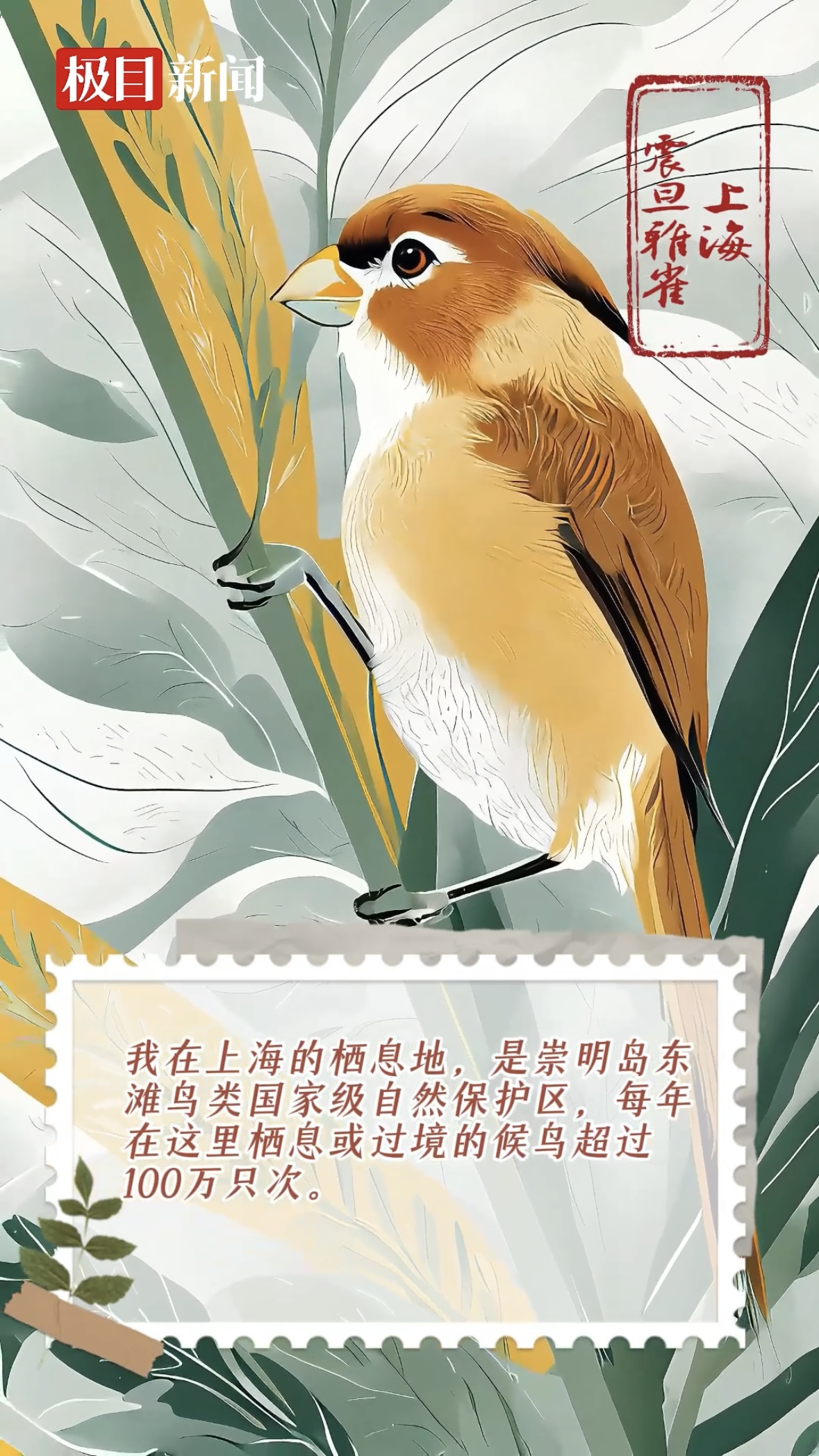 神奇精灵看长江！长江沿线11地主流媒体推出两会联动报道
