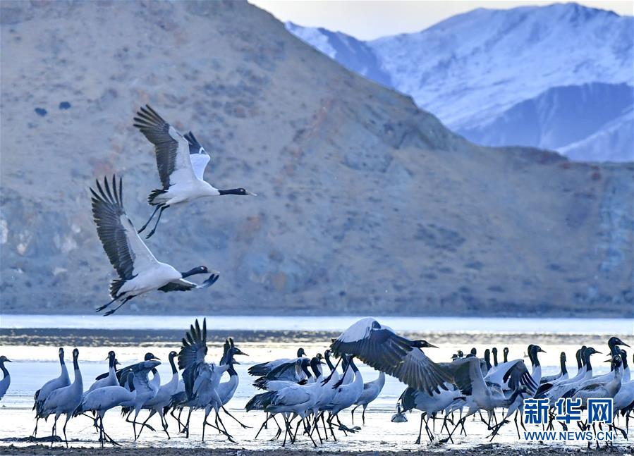 贵州推出“乡村旅游e贷”产品促乡村旅游发展