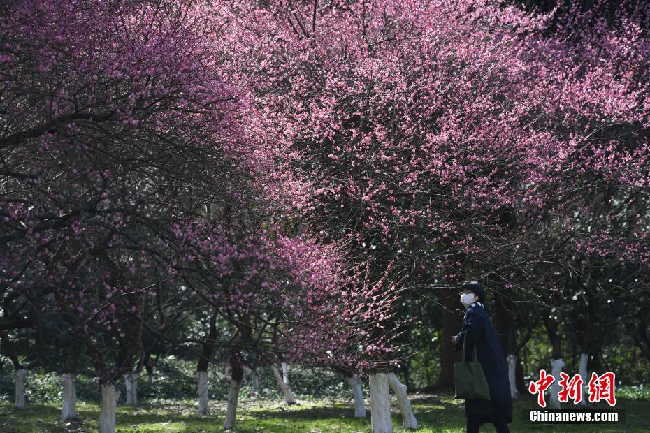 31省份新冠肺炎累计确诊76288例 死亡2345例
