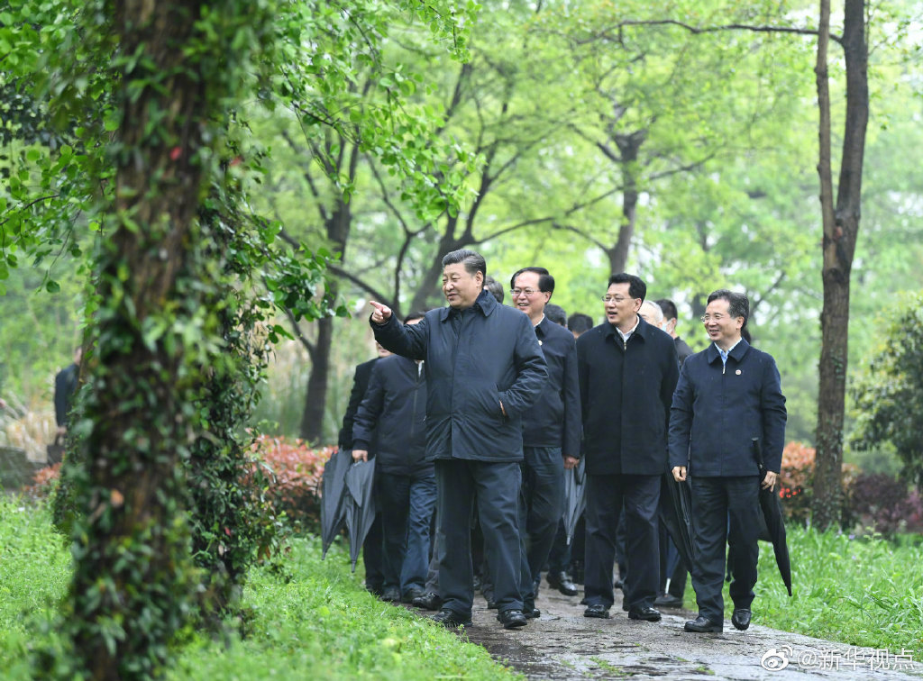 习近平考察杭州湿地保护利用和城市治理情况