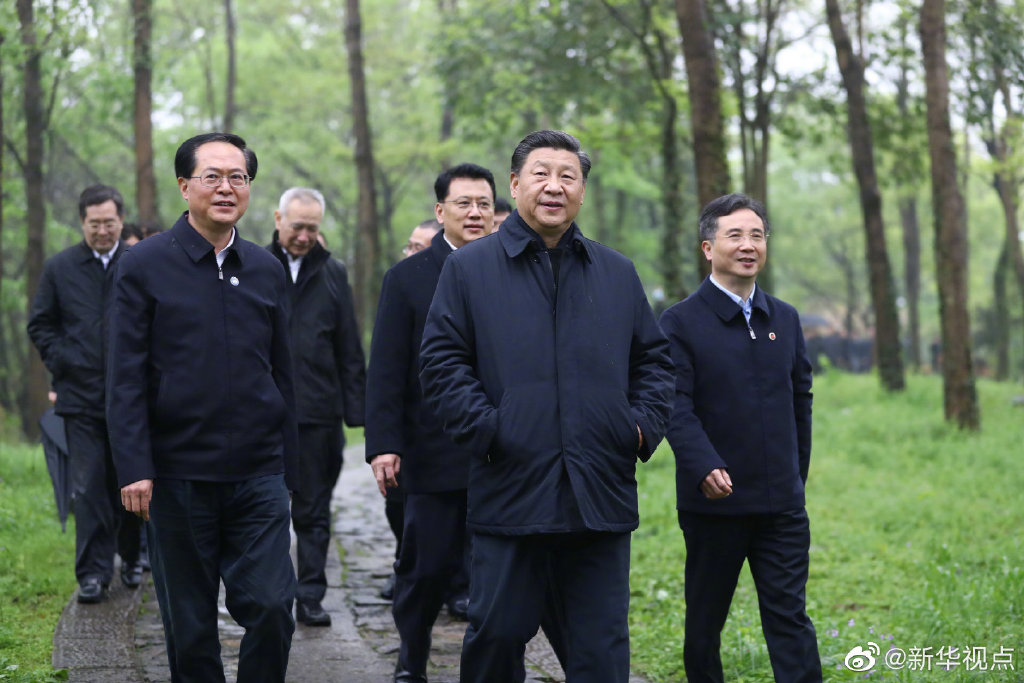 习近平考察杭州湿地保护利用和城市治理情况