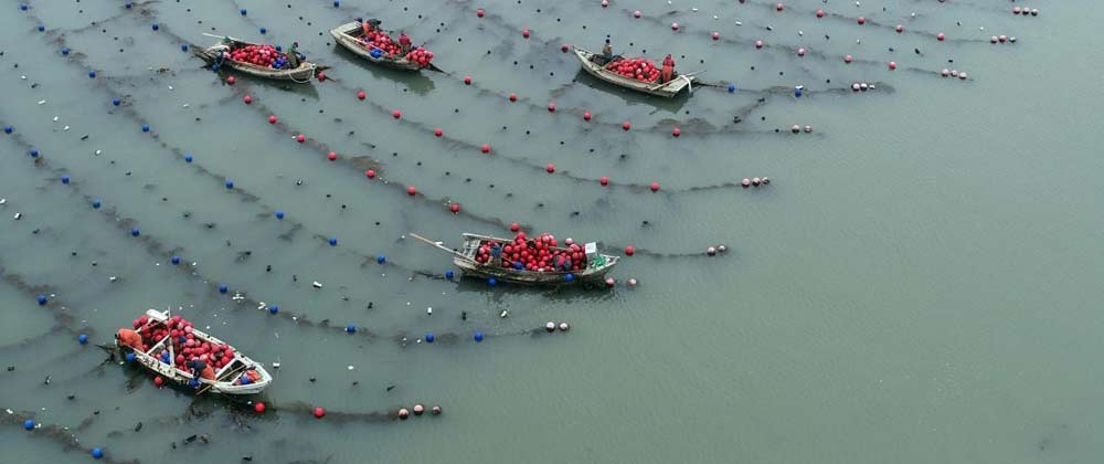 应急管理部：一季度我国自然灾害致504.8万人次受灾