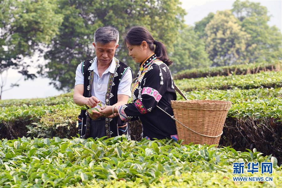 应急管理部：一季度我国自然灾害致504.8万人次受灾