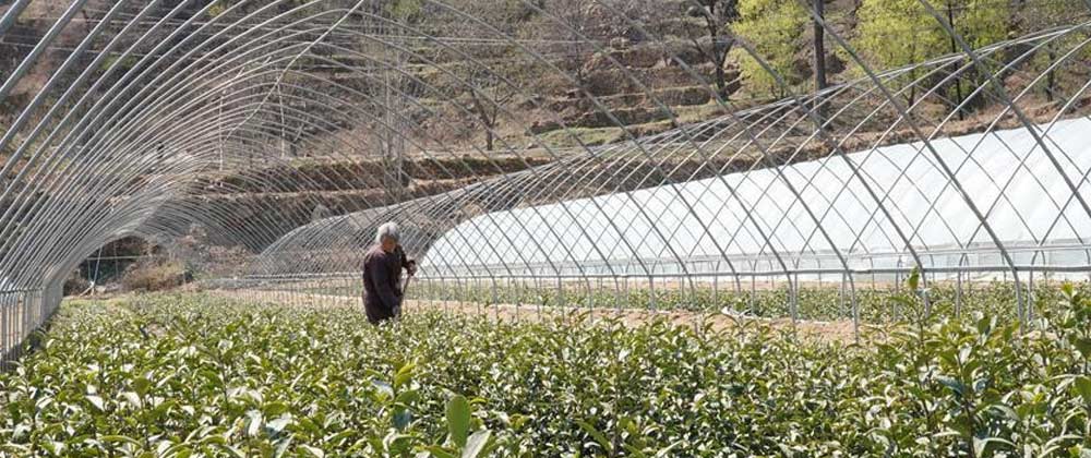 应急管理部：一季度我国自然灾害致504.8万人次受灾