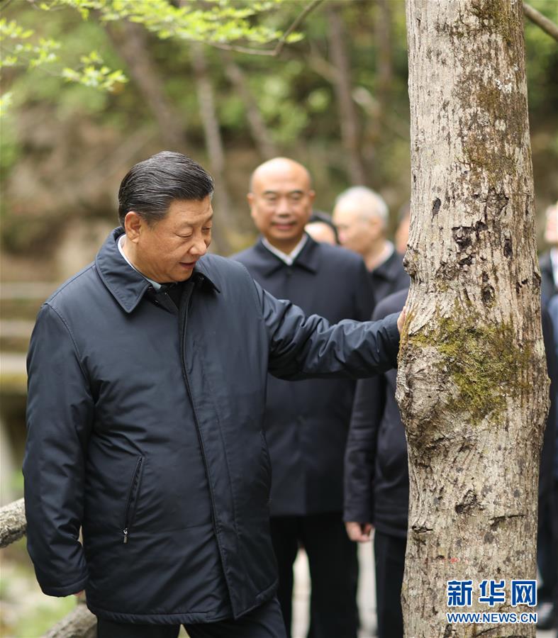 习近平在陕西考察