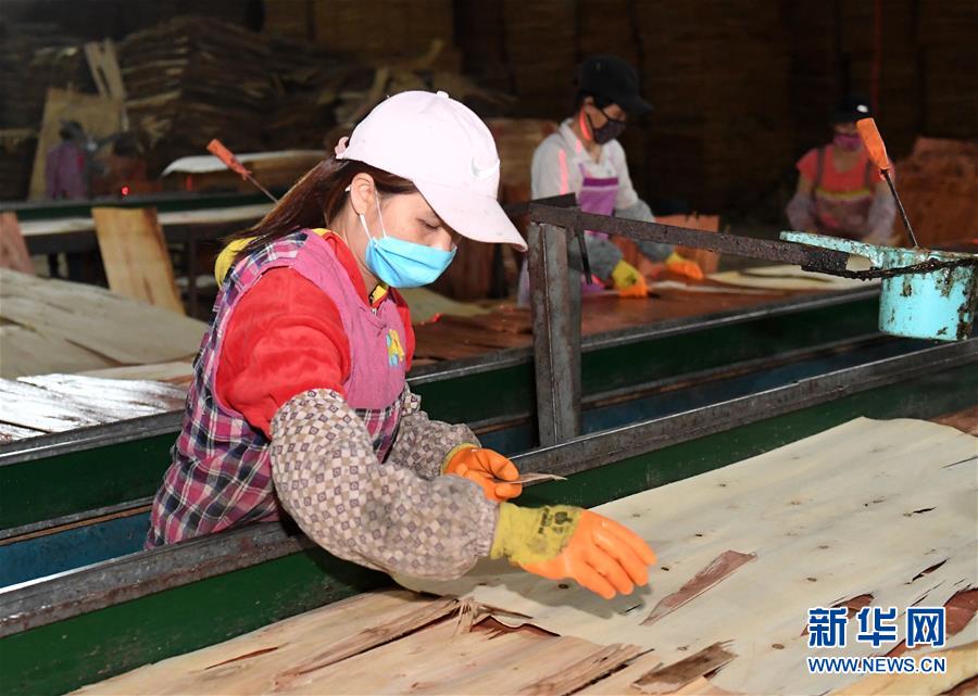 湖北：在鄂外籍、港澳台人员可申领湖北健康码