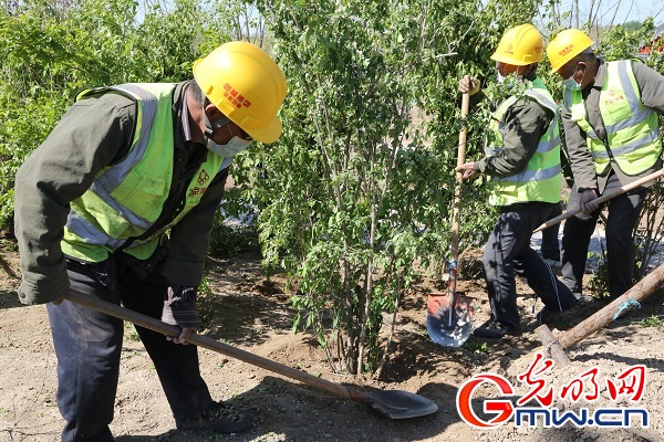北京今春植树115万株 新一轮百万亩造林绿化完成过半