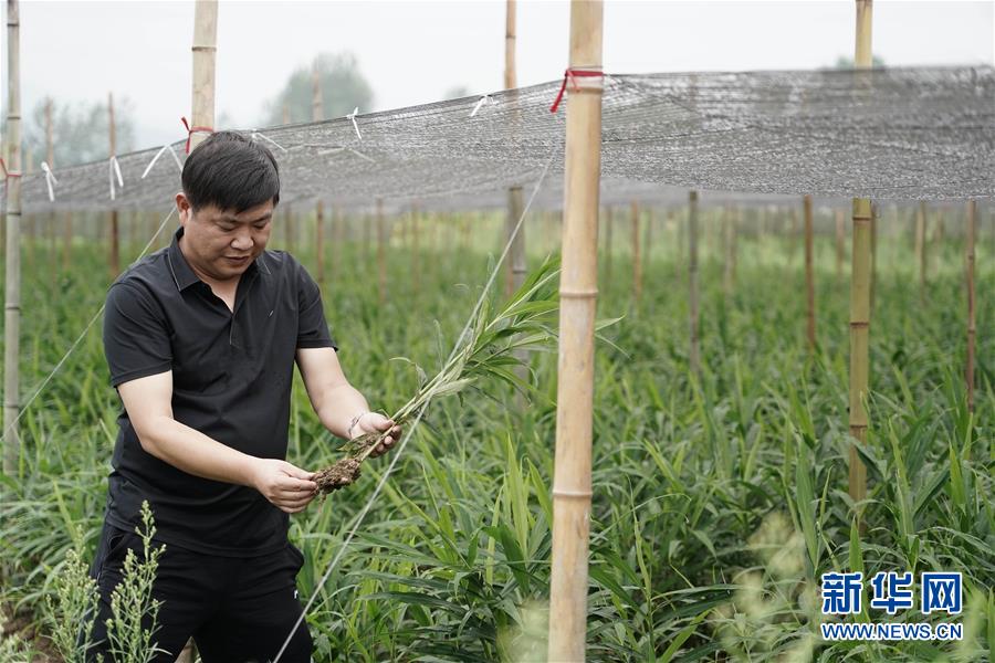 动图丨万众期待！国庆70周年阅兵方阵掠影