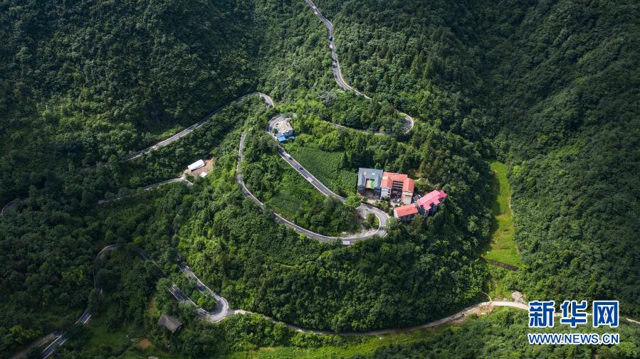 贵州省森林覆盖率达60%