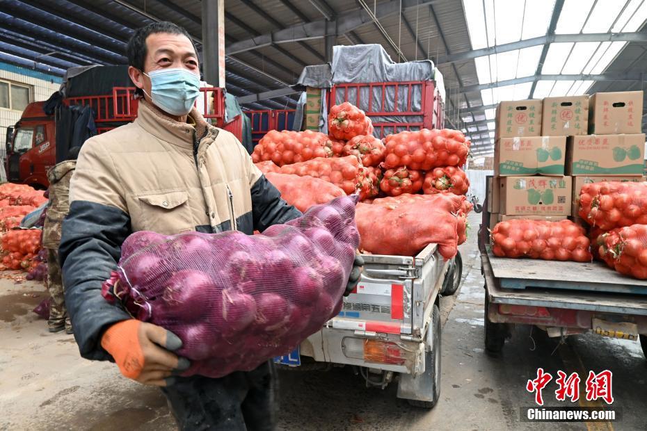 石家庄市桥西蔬菜批发市场恢复正常营业