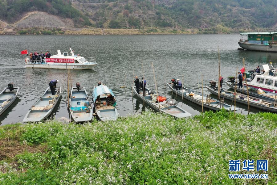 福建省闽江流域启动为期4个月的禁渔期