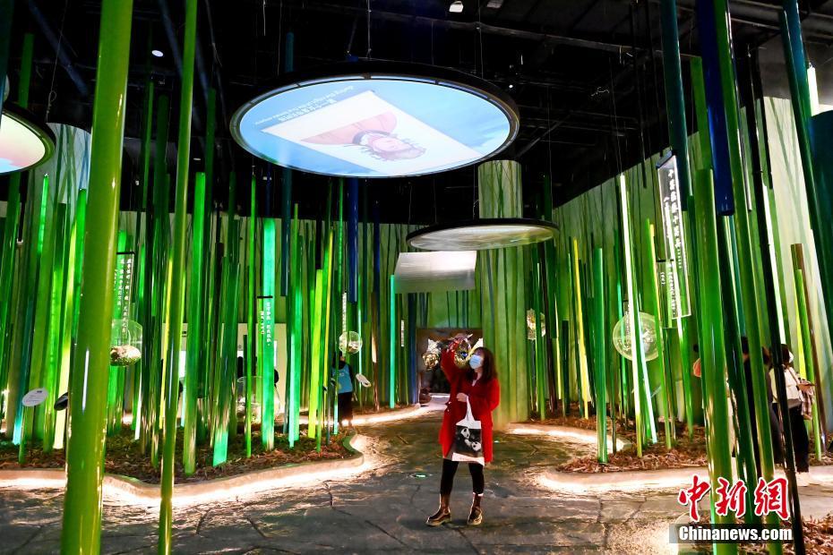 全球首家大熊猫主题互动体验专题博物馆开馆
