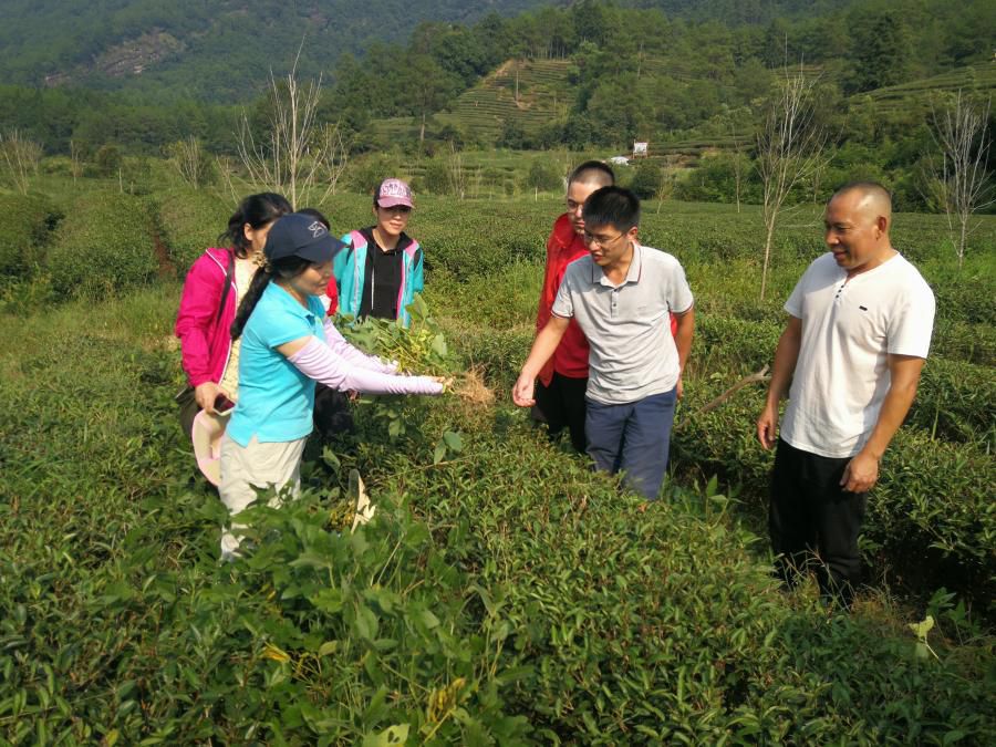 跟着总书记长见识丨听听这位“科特派”讲述茶园“新科技”