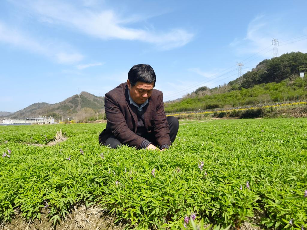 大湾村书记图片