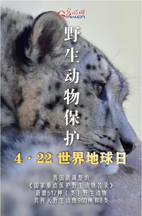 海报|【世界地球日】镜头下的中国：人与自然和谐共生