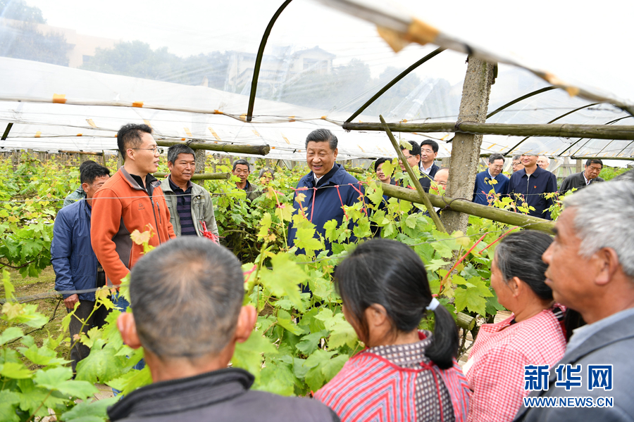 习近平在广西考察