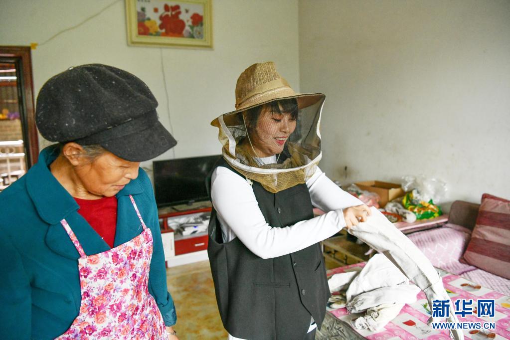 乌蒙深处，青春在“蜂”中飞扬