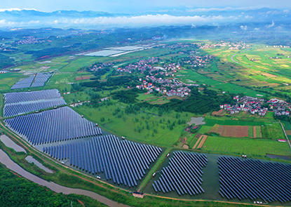 小精灵排行_smart:世界知名的小精灵