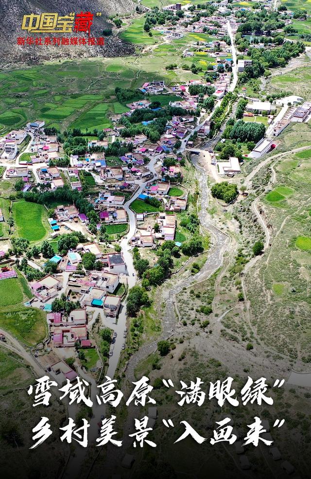 中国宝“藏”｜雪域高原“满眼绿” 乡村美景“入画来”