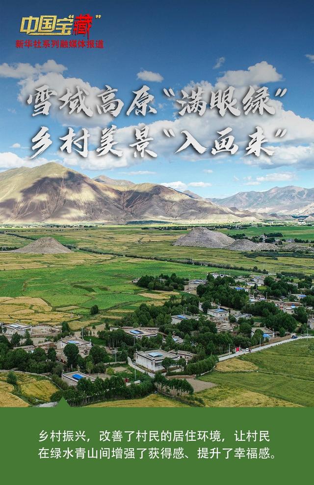 中国宝“藏”｜雪域高原“满眼绿” 乡村美景“入画来”