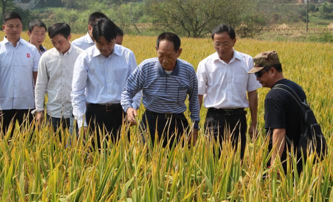 痛别！中国“杂交水稻之父”袁隆平逝世