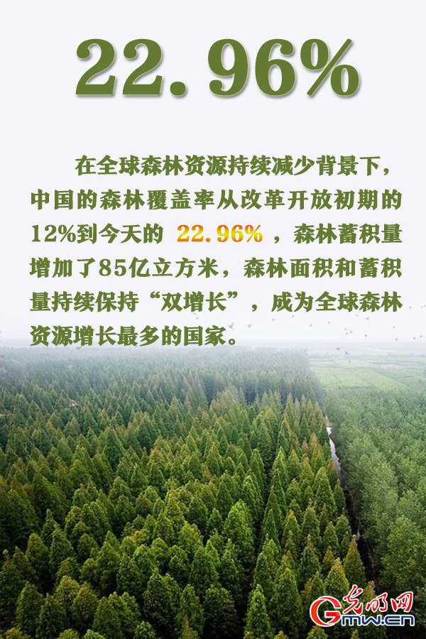 世界环境日丨人与自然和谐共生 数据见证中国力量