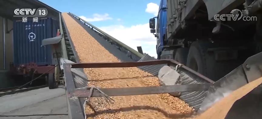 上半年国家铁路粮食、化肥运量分别达2821万吨、2516万吨 为乡村振兴作出积极贡献