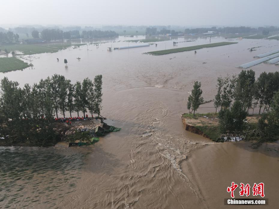 河南鹤壁浚县洪水图片