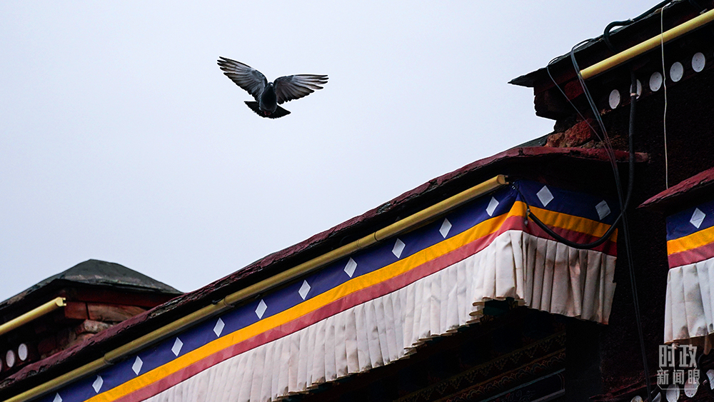 时政新闻眼丨历史性的西藏考察，蕴含哪些深意？