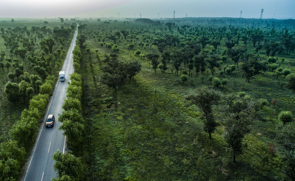 镜观·领航丨习近平牵挂的那片林
