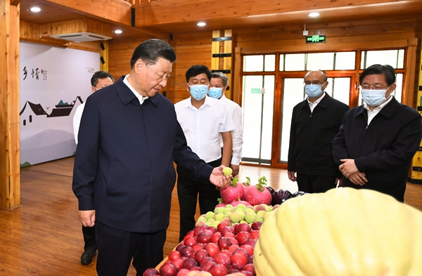 习近平在河北承德考察时强调 贯彻新发展理念弘扬塞罕坝精神 努力完成全年经济社会发展主要目标任务