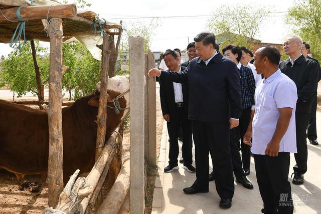 镜观·领航丨总书记的民族情