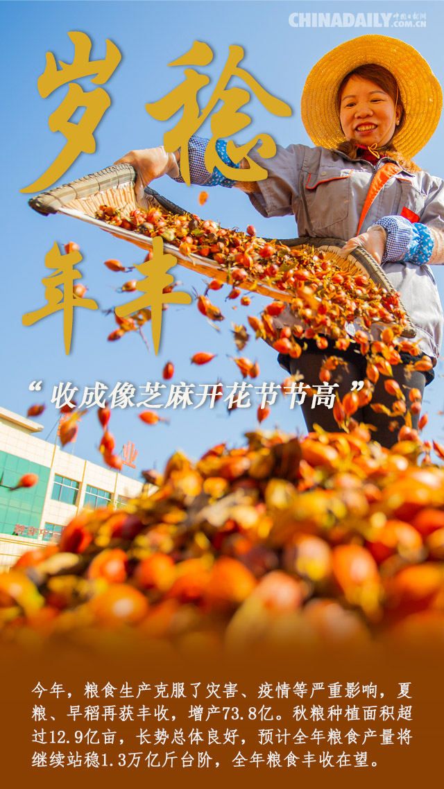 【海报】丰收节里，去看看农民的新生活