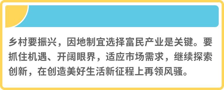 镜观·领航丨乡村振兴，在希望的田野上