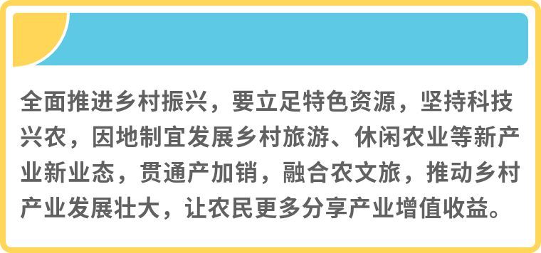 镜观·领航丨乡村振兴，在希望的田野上