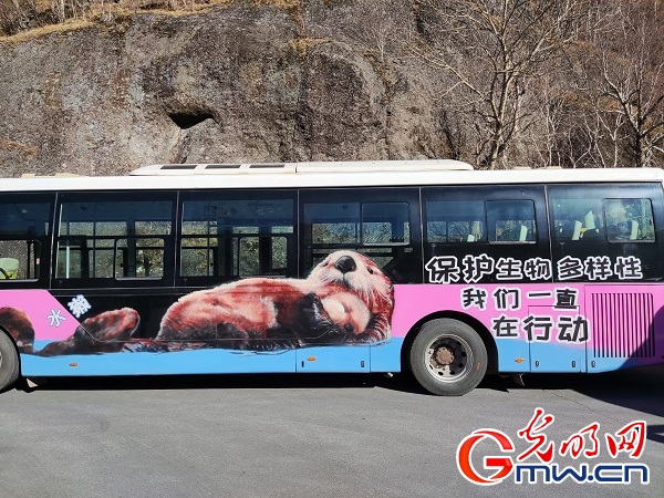 长白山“涂鸦巴士”为野生动物保护添一抹亮色